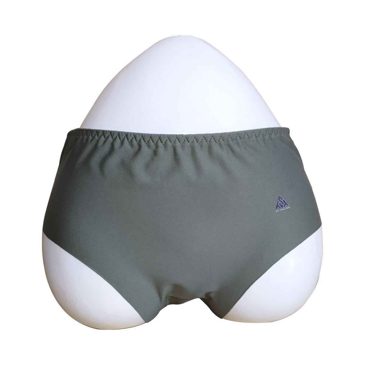 TstFIT Women's Seamless Hipster Ice Silk Panty (Sizes M to XXL) Sega Green