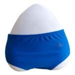 TstFIT Women's Seamless Hipster Ice Silk Panty (Sizes S to XXL) Blue